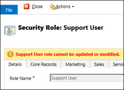 Support User role