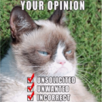 Grumpy cat feedback