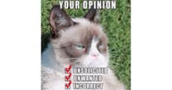 Grumpy cat feedback