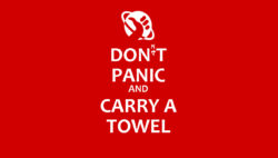 Dont panic and carry a towel poster