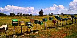 Mailboxes