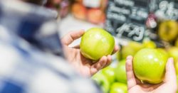 Man holding an apple in each of his hands comparing the two.