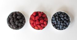 Three bowls with fresh blackberries, raspberries and blueberries symbolizing the components (of a dessert)